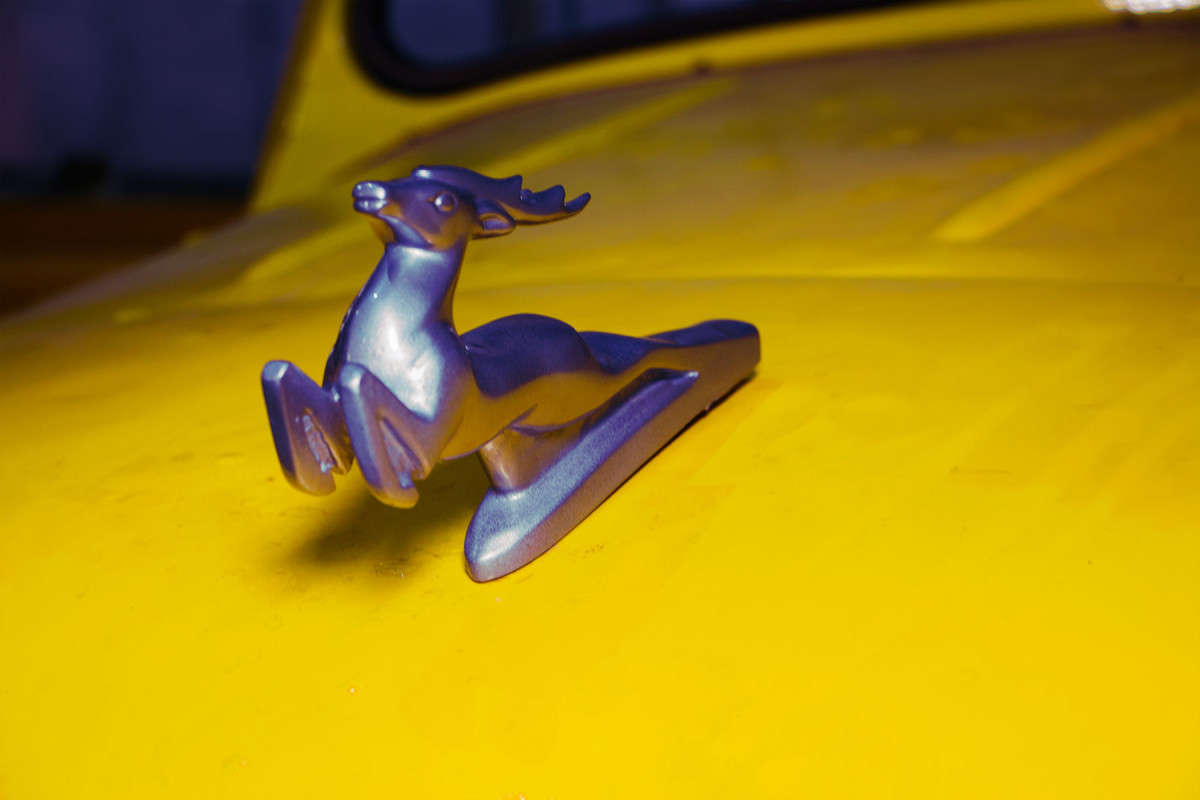 �����. ���. ����� ���� �������� �� PhotoGeek.ru #��������