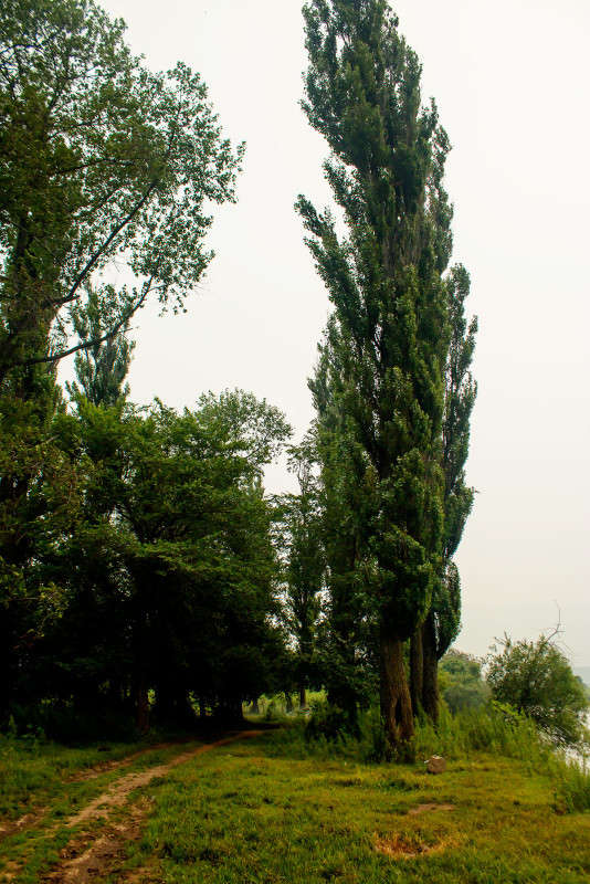 ������������� ������. ����� ���� �������� �� PhotoGeek.ru #������ ��� �������