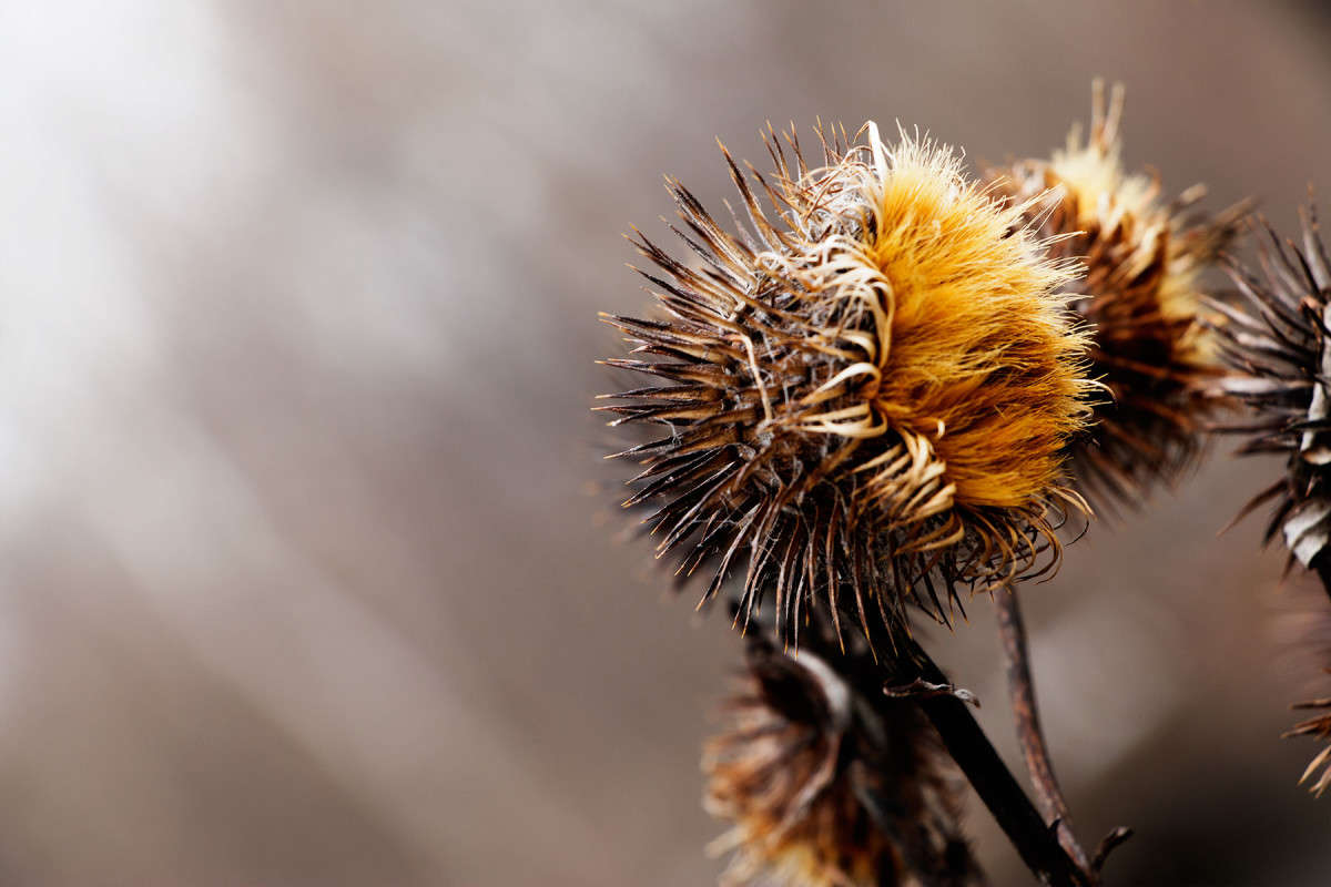 �������� ���������� ����� ���� �������� �� PhotoGeek.ru #������ ��� �������