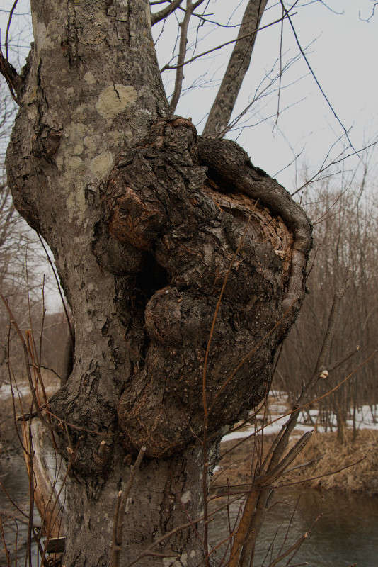 �������� ����������. ����� ���� �������� �� PhotoGeek.ru #������ ��� �������