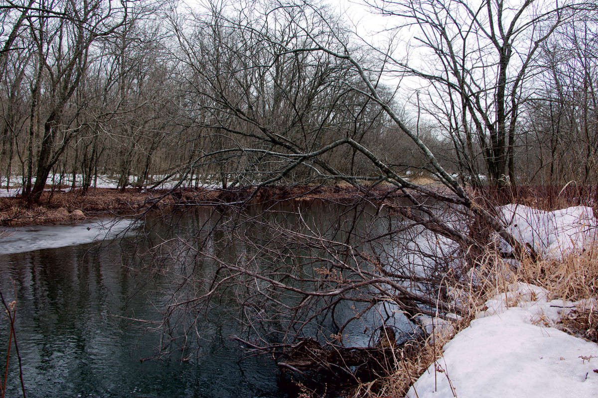 �������� ����������. ����� ���� �������� �� PhotoGeek.ru #������ ��� �������