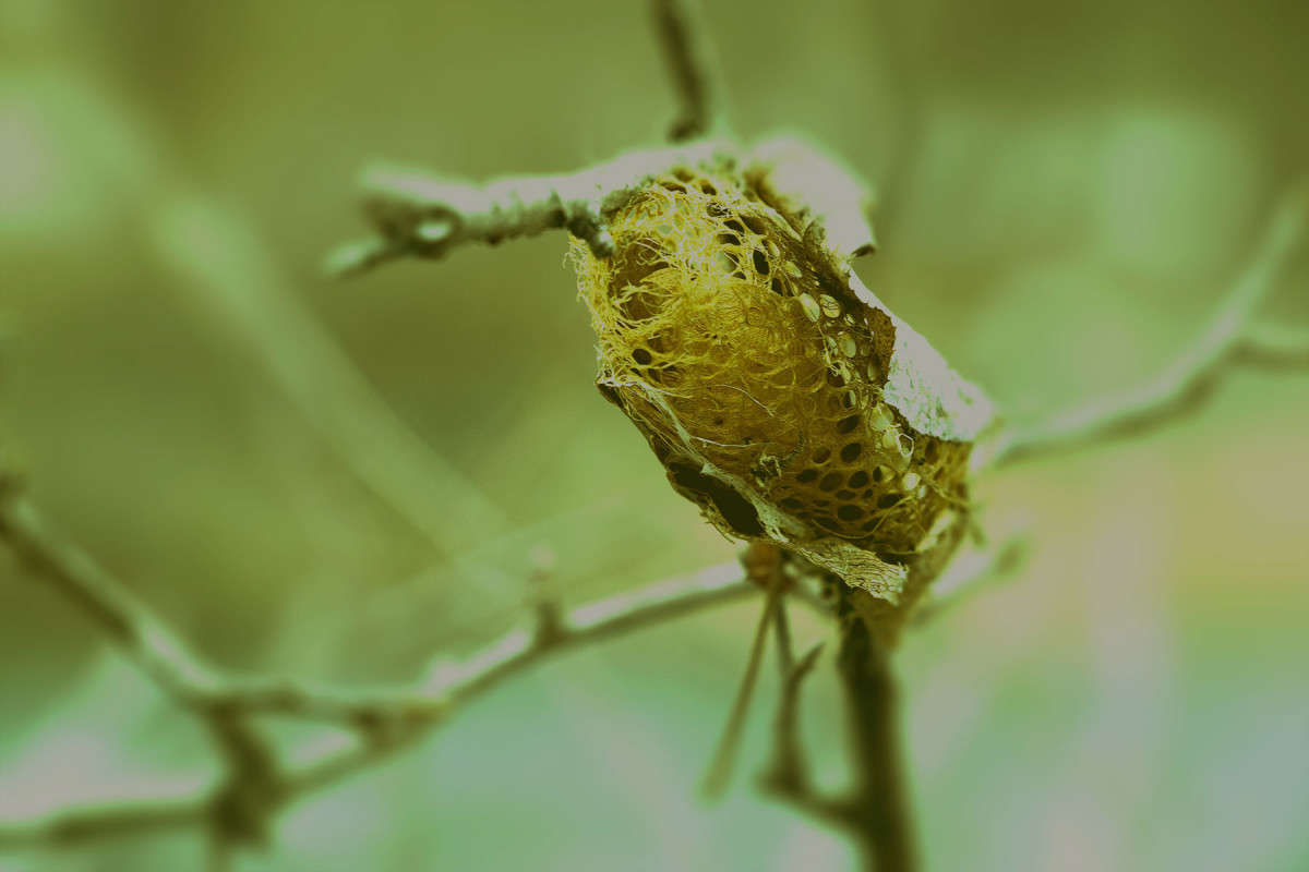 �������� ����� ����� ���� �������� �� PhotoGeek.ru #������ ��� ������� #����� ��������