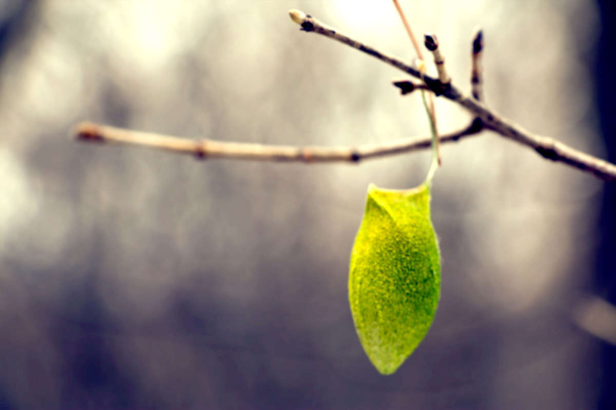 ������� ����� ���� �������� �� PhotoGeek.ru #������ ��� ������� #����� ��������