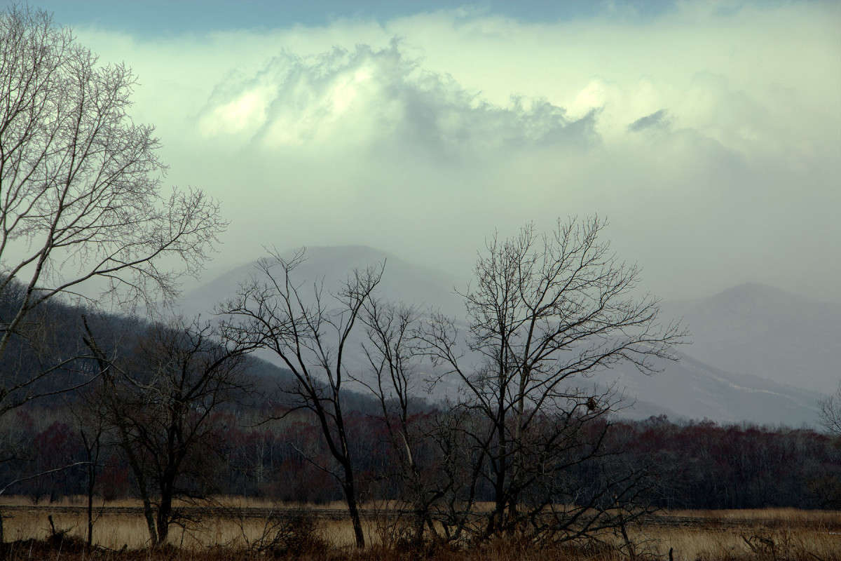 �������� ������ ����� ���� �������� �� PhotoGeek.ru #������ ��� �������