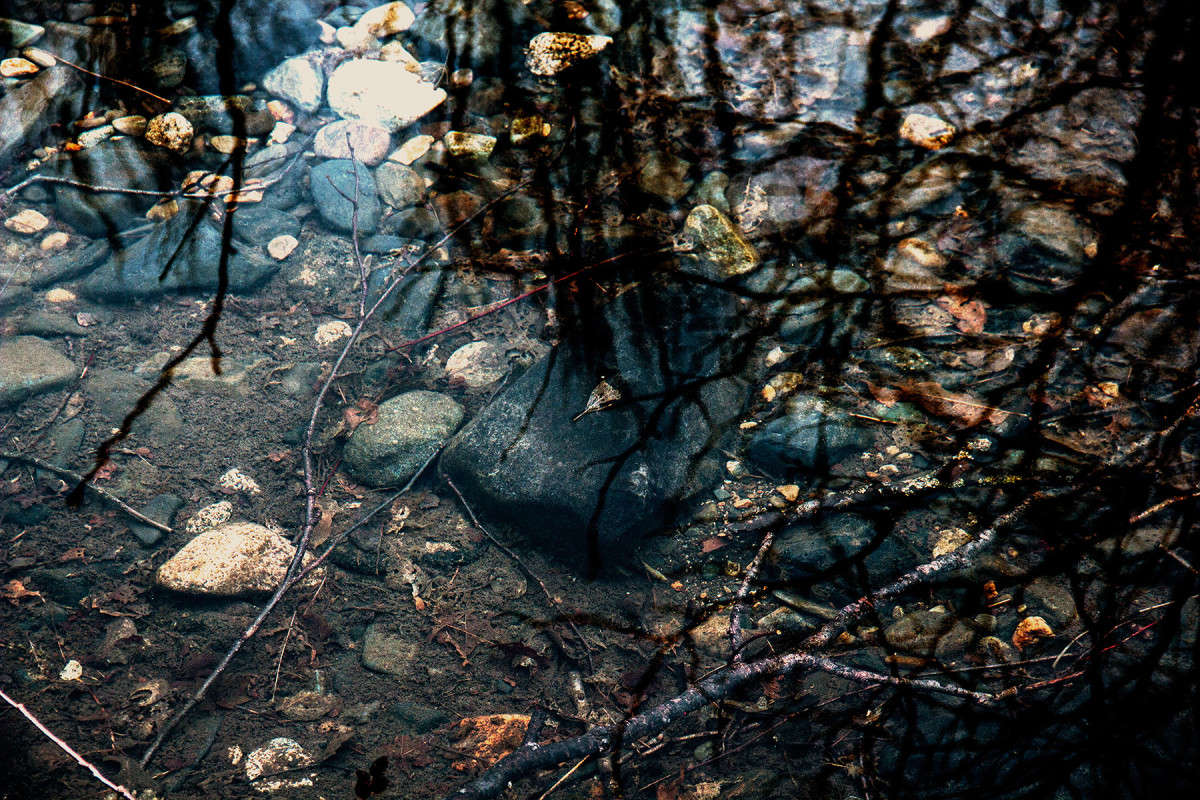 � ��������� ������� ����� ���� �������� �� PhotoGeek.ru #������ ��� �������