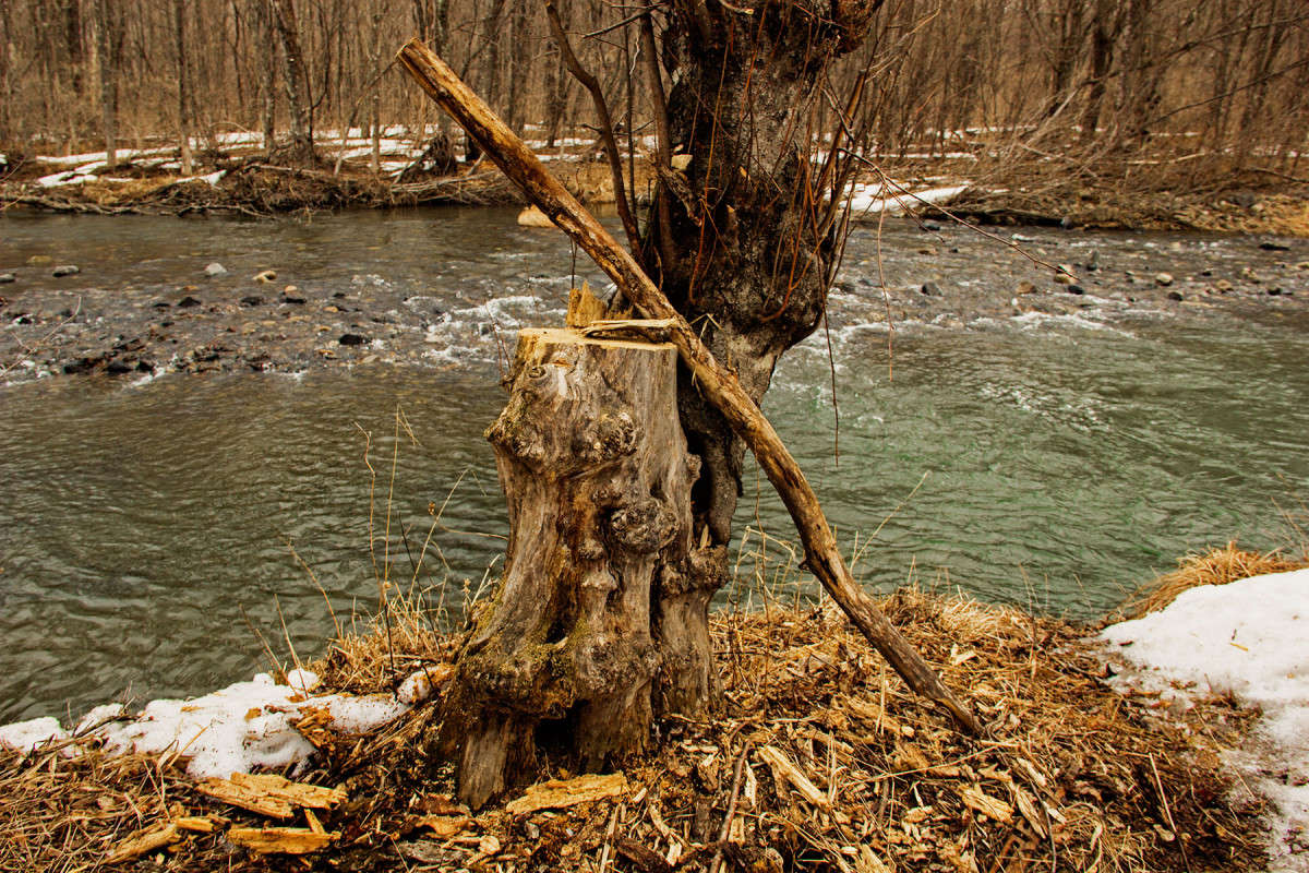 ��� ����� � ����� ����... ����� ���� �������� �� PhotoGeek.ru #������ ��� �������