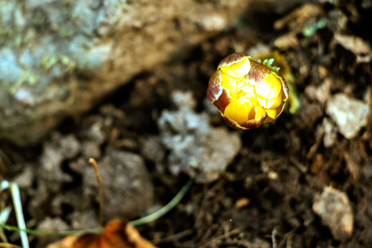 ��������� ����� ���� �������� �� PhotoGeek.ru #������ ��� ������� #����� �������������� #����� ��������