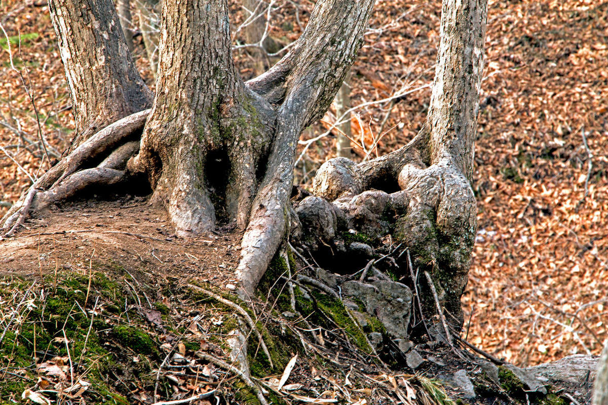 ������� ������� ����� ���� �������� �� PhotoGeek.ru #������ ��� ������� #����� �������������� #����� ��������