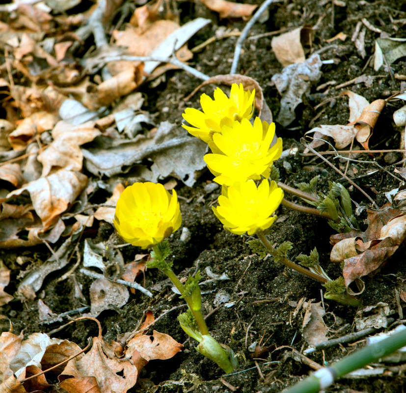 ���������� ����� ���� �������� �� PhotoGeek.ru #������ ��� ������� #����� �������������� #����� ��������