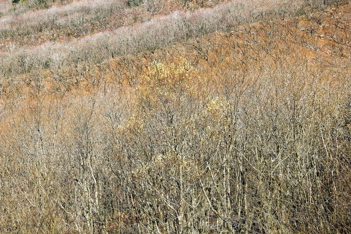 ... ����� ���� �������� �� PhotoGeek.ru #������ ��� �������