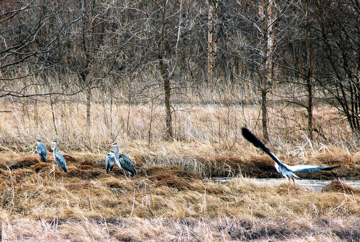 ����� ����� ���� �������� �� PhotoGeek.ru #������ ��� �������