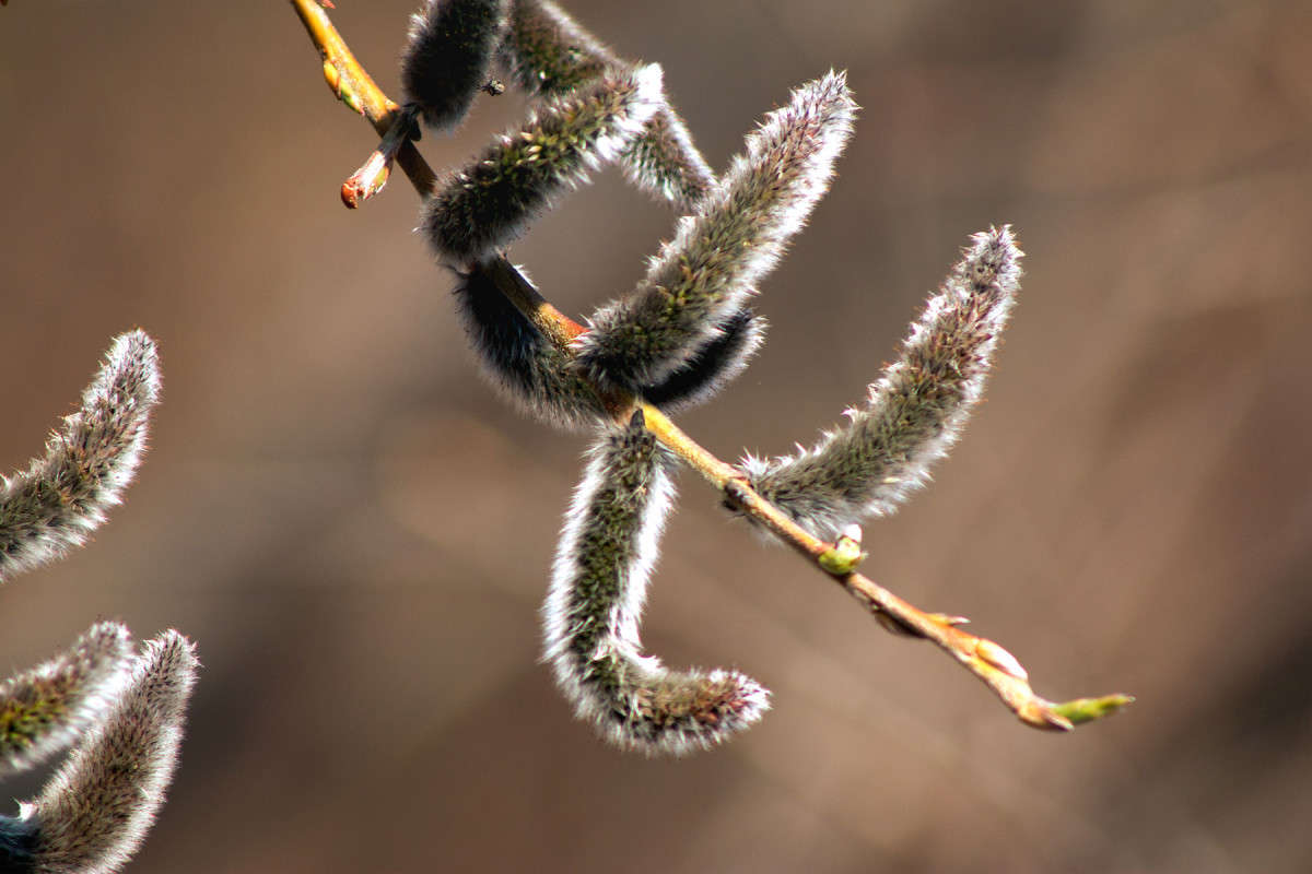 ������ ����� �����.. ����� ���� �������� �� PhotoGeek.ru #������ ��� �������