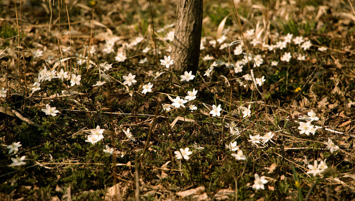 �������� ���������� ����� ���� �������� �� PhotoGeek.ru #������ ��� ������� #����� ��������������