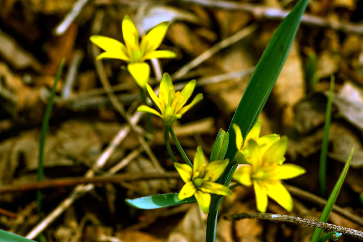 �������� ���������� ����� ���� �������� �� PhotoGeek.ru #������ ��� ������� #����� ��������������