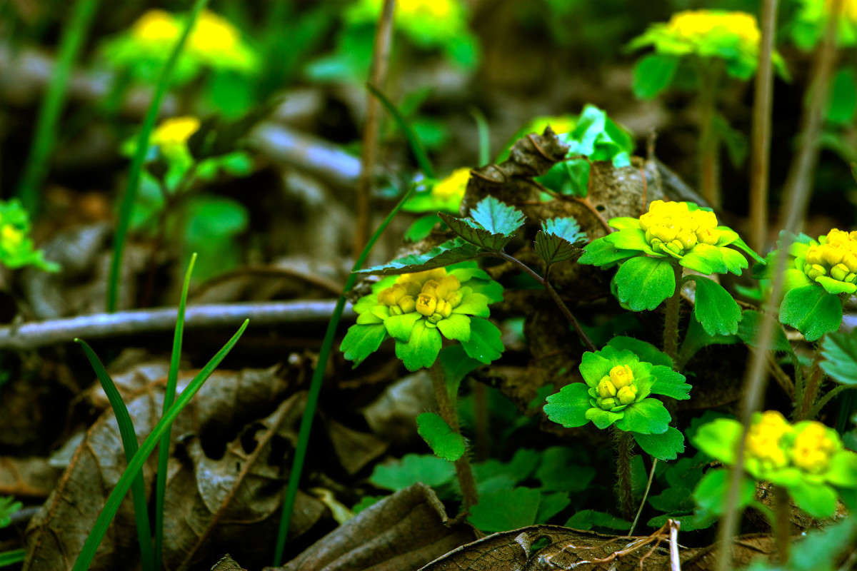 �������� ���������� ����� ���� �������� �� PhotoGeek.ru #������ ��� ������� #����� ��������������