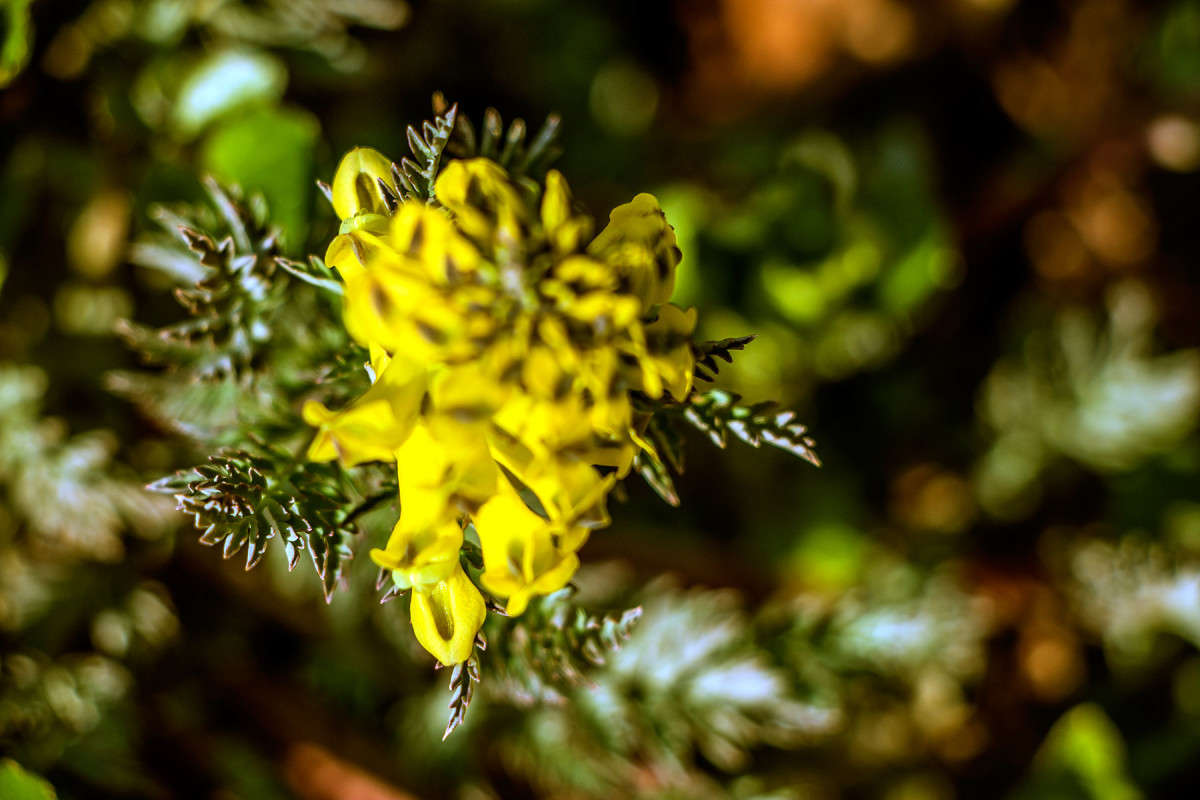 �������� ���������� ����� ���� �������� �� PhotoGeek.ru #������ ��� ������� #����� ��������������