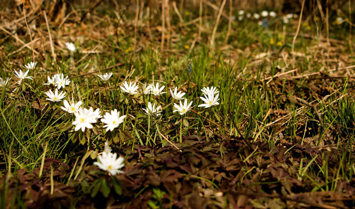 �������� ���������� ����� ���� �������� �� PhotoGeek.ru #������ ��� ������� #����� ��������������