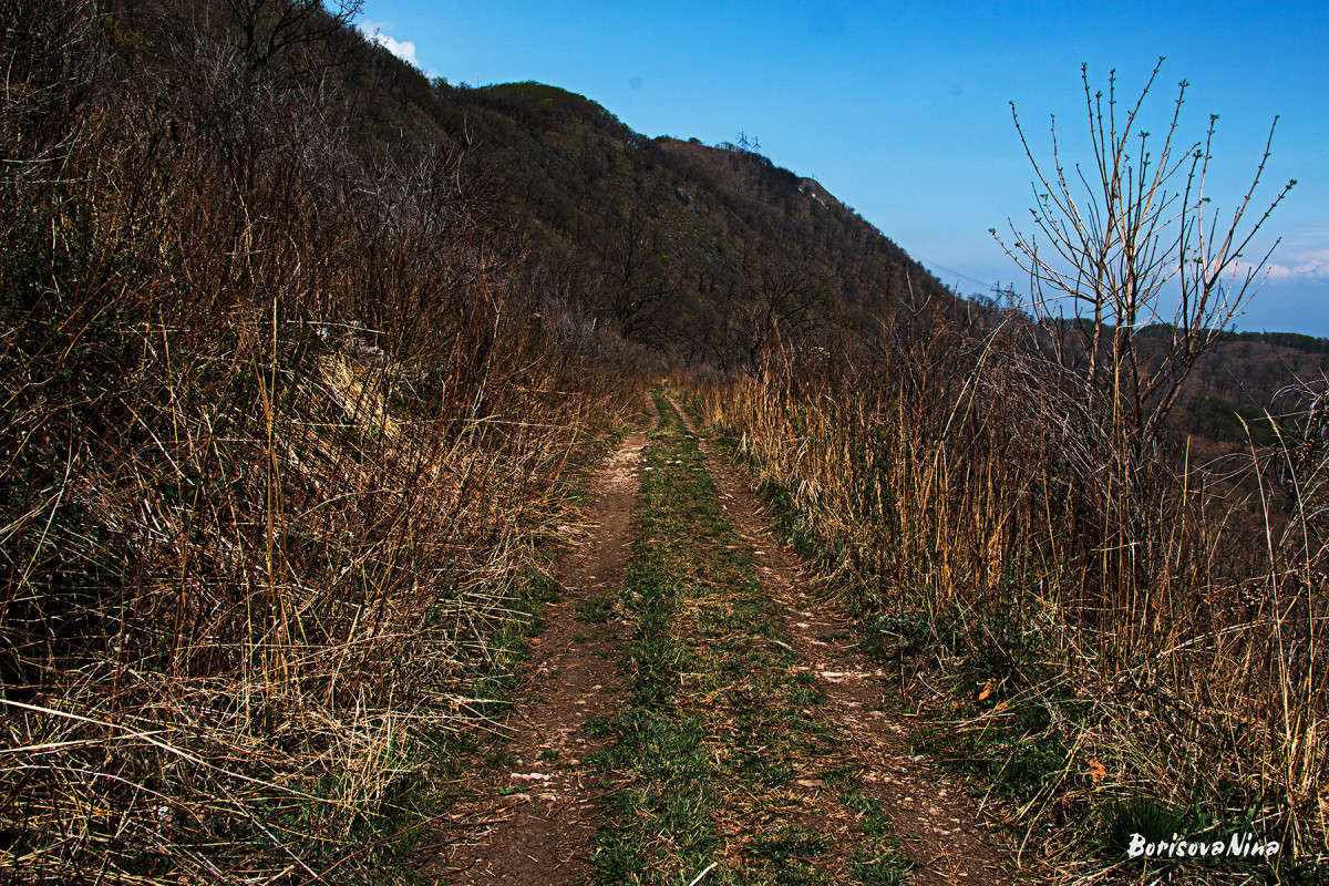 ������, ������� �� ��������... ����� ���� �������� �� PhotoGeek.ru #������ ��� �������