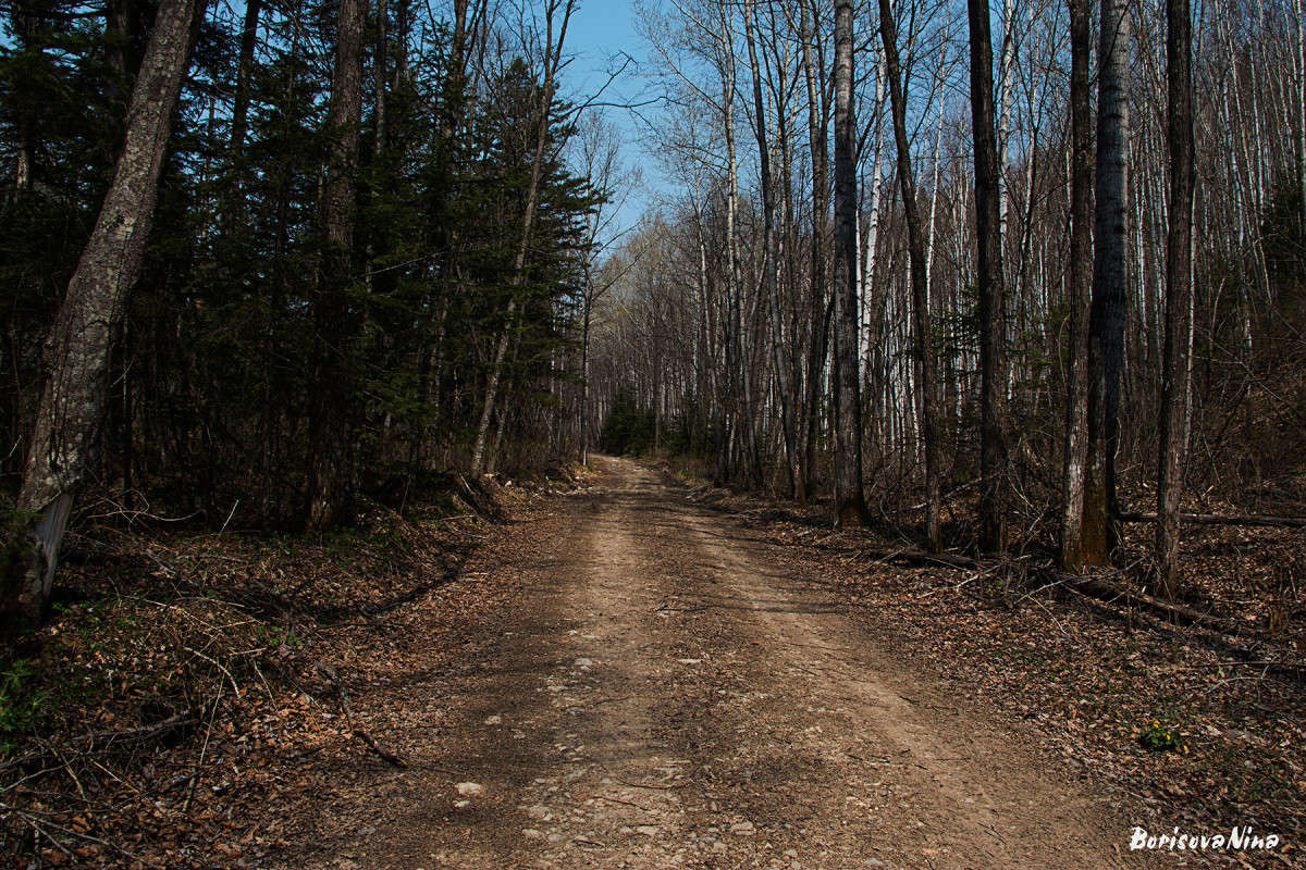 ������, ������� �� ��������... ����� ���� �������� �� PhotoGeek.ru #������ ��� �������