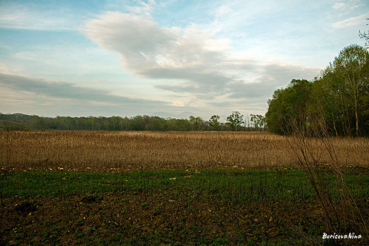 �������� ���� ����� ���� �������� �� PhotoGeek.ru #������ ��� �������