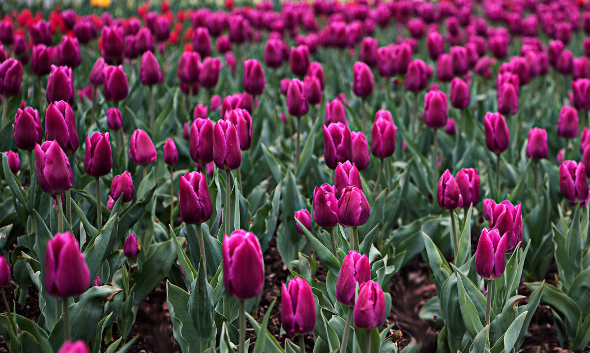 �������� ��������� ����� ���� �������� �� PhotoGeek.ru #����� #��������� ������