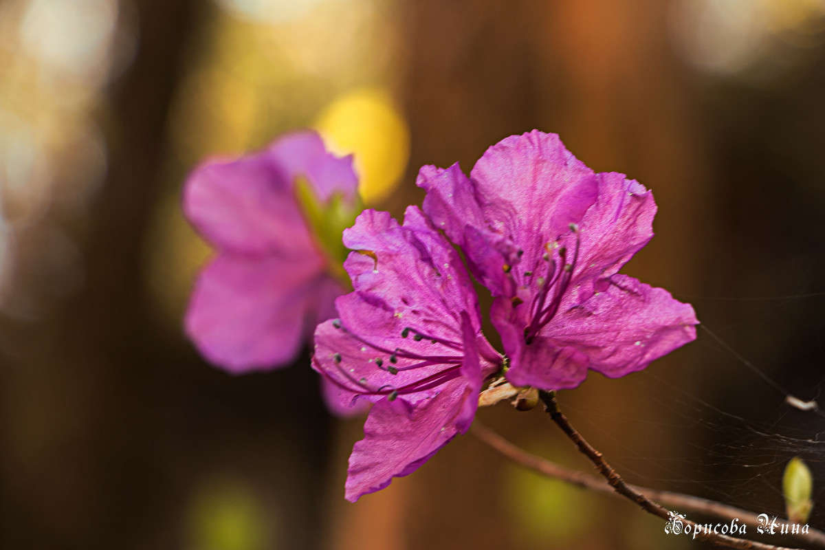 ���-�� ��������� �� ������ ������ ����� ���� �������� �� PhotoGeek.ru #������ ��� ������� #����� �������������� #����� ��������