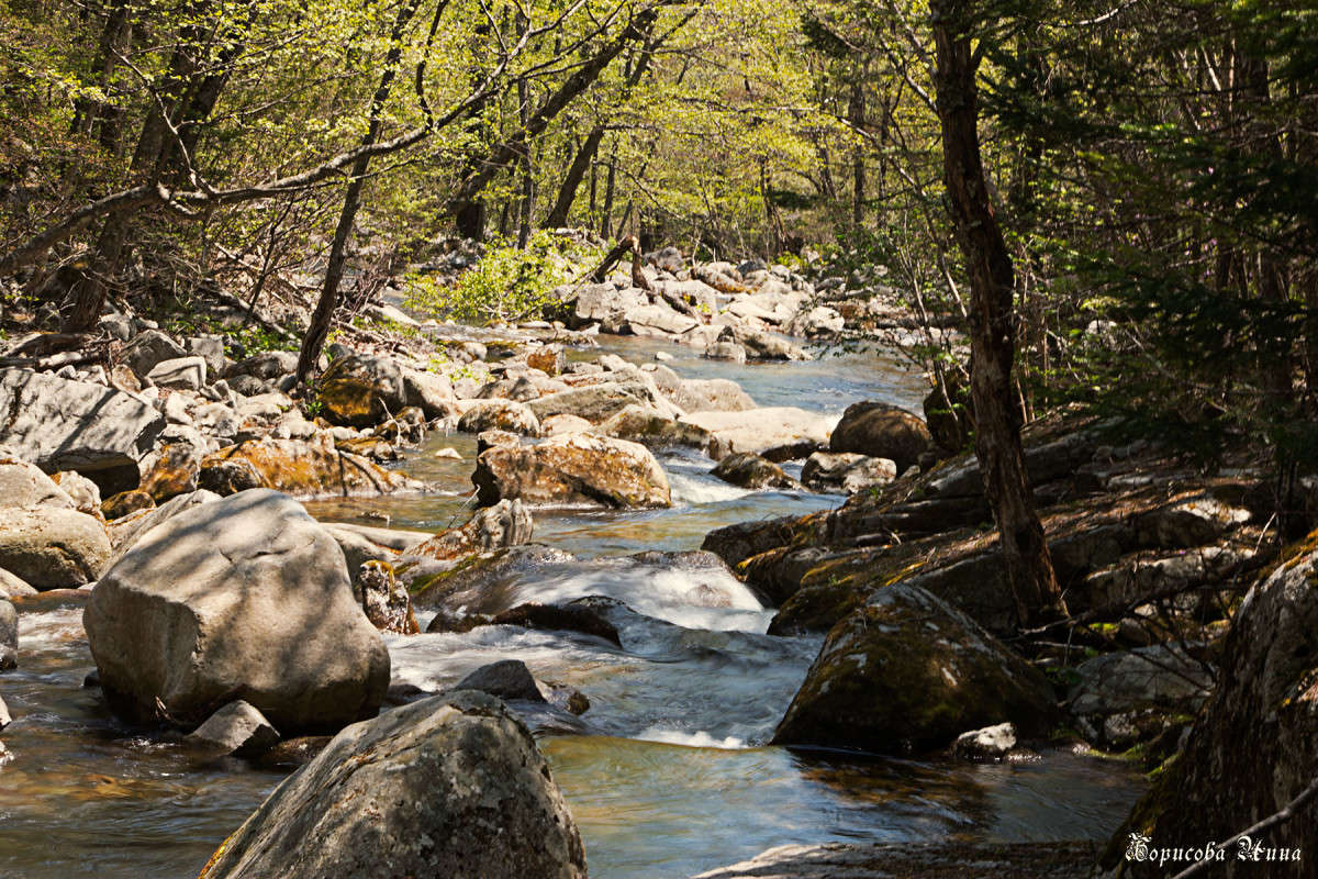 ������ ����� � ������� ���������� ����� ���� �������� �� PhotoGeek.ru #������ ��� �������