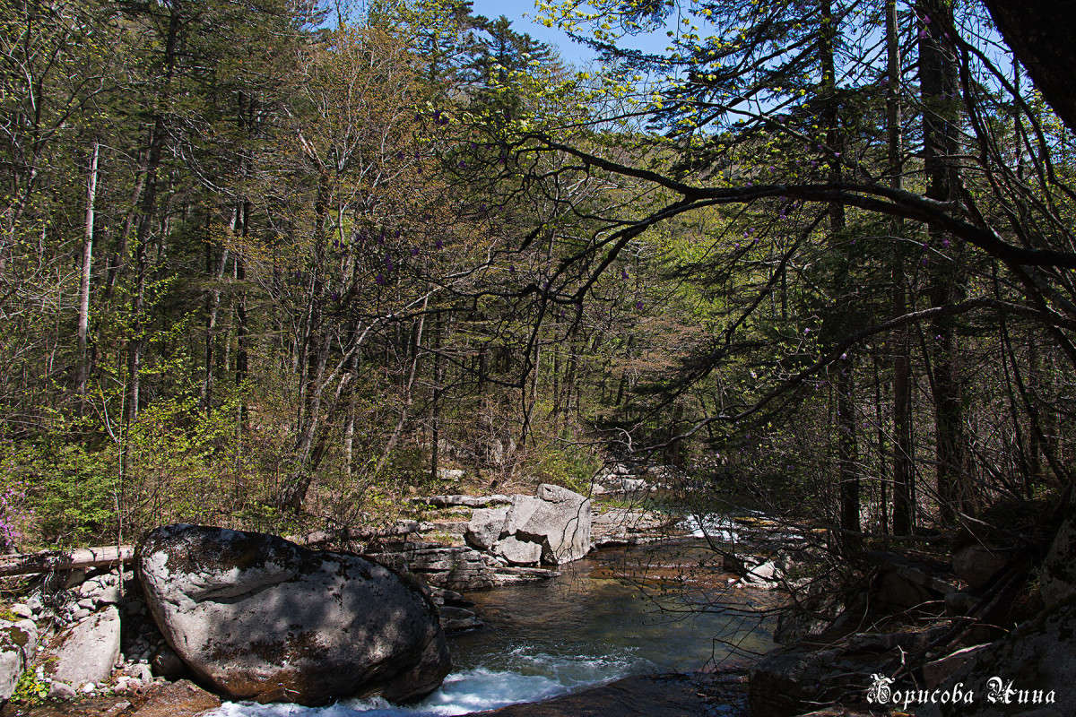 ������ ����� � ������� ���������� ����� ���� �������� �� PhotoGeek.ru #������ ��� �������