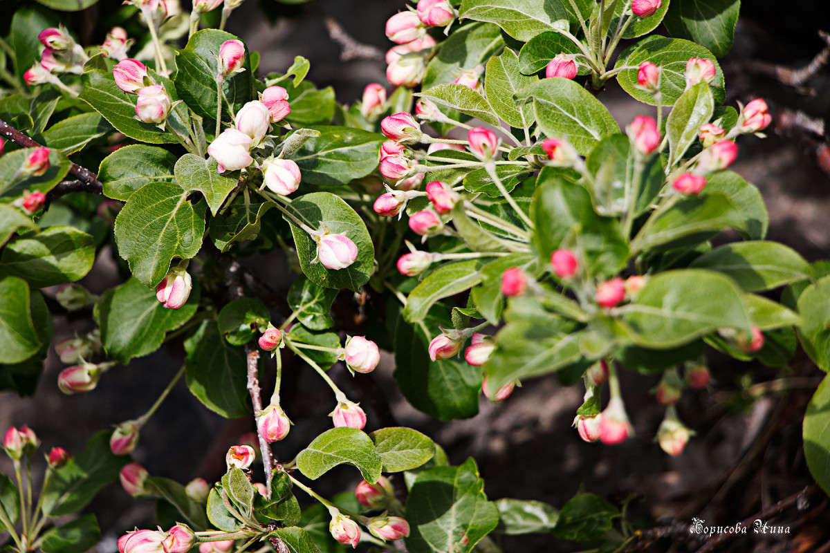 ��� �����. �������� ������. ����� ���� �������� �� PhotoGeek.ru #������ ��� ������� #����� �������������� #��������� #����� ��������