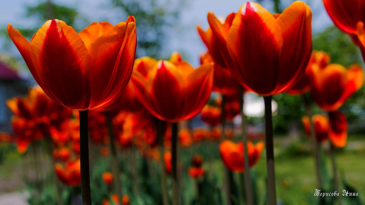 � ������������ ����. ����� ���� �������� �� PhotoGeek.ru #������ ��� ������� #����� �������������� #����� ��������