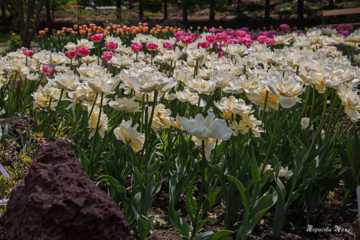 � ������������ ����. ����� ���� �������� �� PhotoGeek.ru #������ ��� ������� #����� �������������� #����� ��������