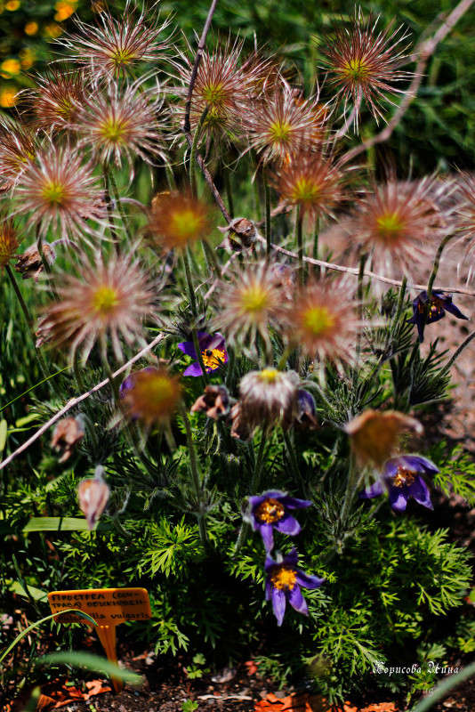 � ������������ ����. ����� ���� �������� �� PhotoGeek.ru #������ ��� ������� #����� �������������� #����� ��������