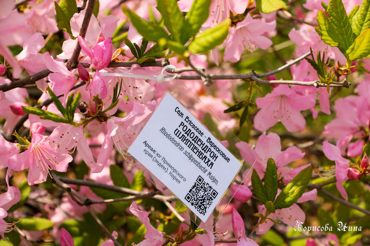 � ������������ ����. ����� ���� �������� �� PhotoGeek.ru #������ ��� ������� #����� �������������� #����� ��������