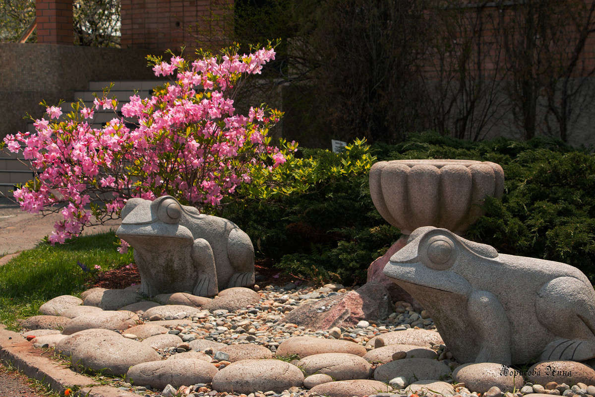 � ������������ ����. ����� ���� �������� �� PhotoGeek.ru #������ ��� ������� #����� �������������� #���������