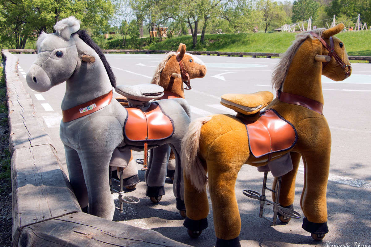 ���� ��������� ������ "���������� �����". ����� ���� �������� �� PhotoGeek.ru #������ ��� �������