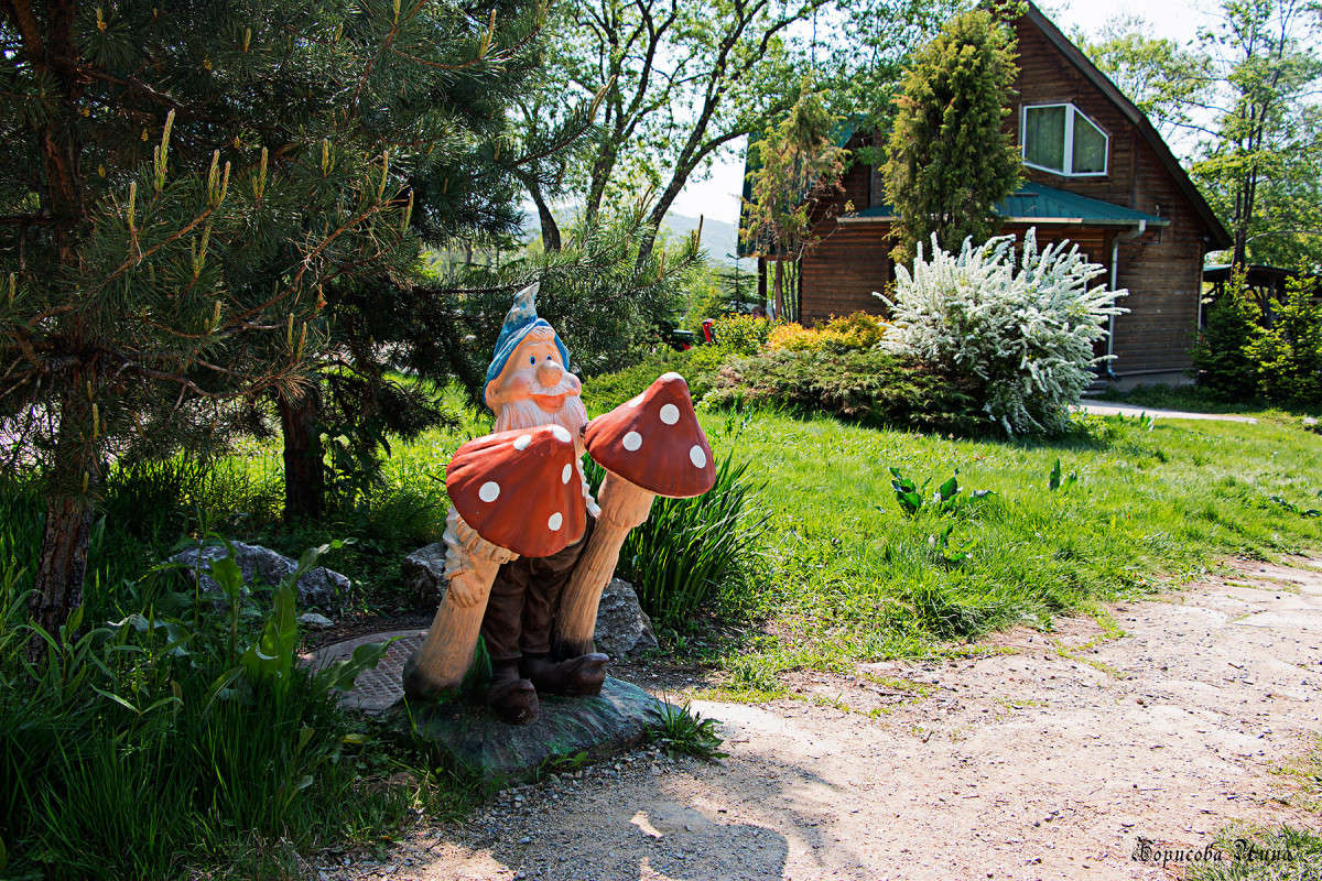 �������� ���� �����. ����� ���� �������� �� PhotoGeek.ru #��������