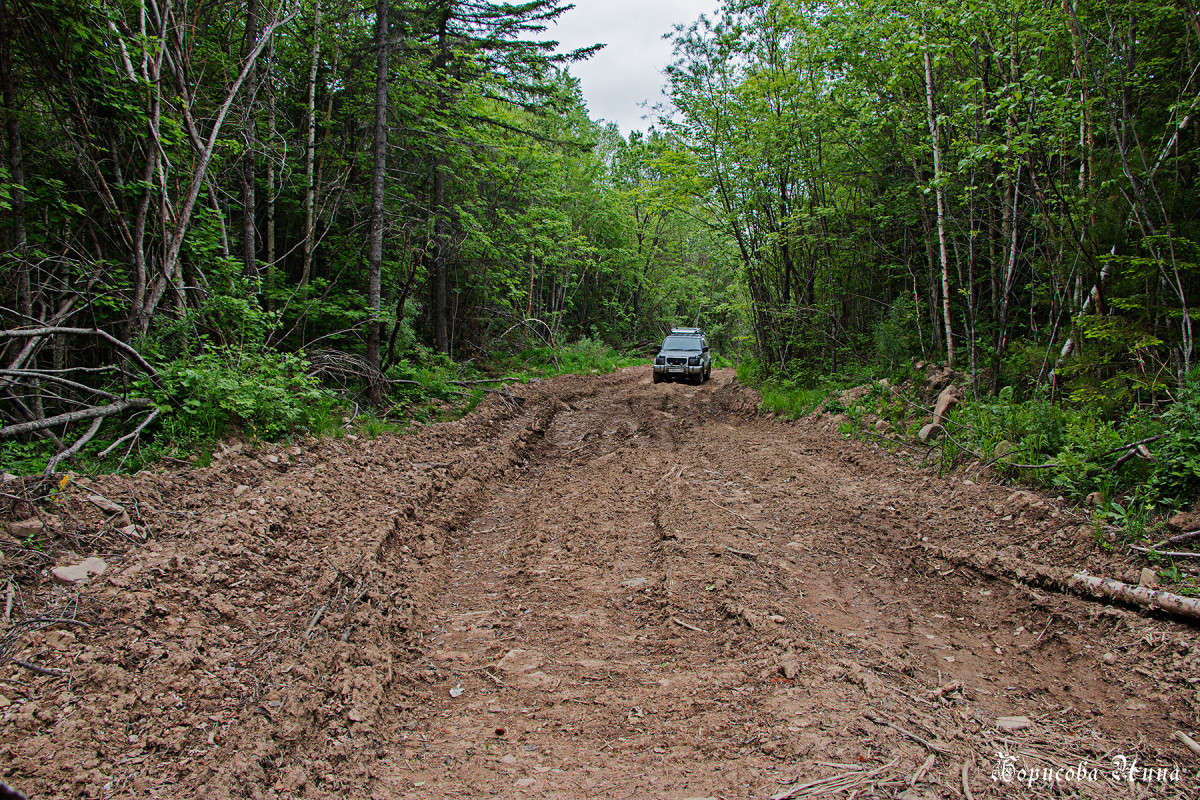 ������, ������� �� ��������. ����� ���� �������� �� PhotoGeek.ru #������ ��� �������