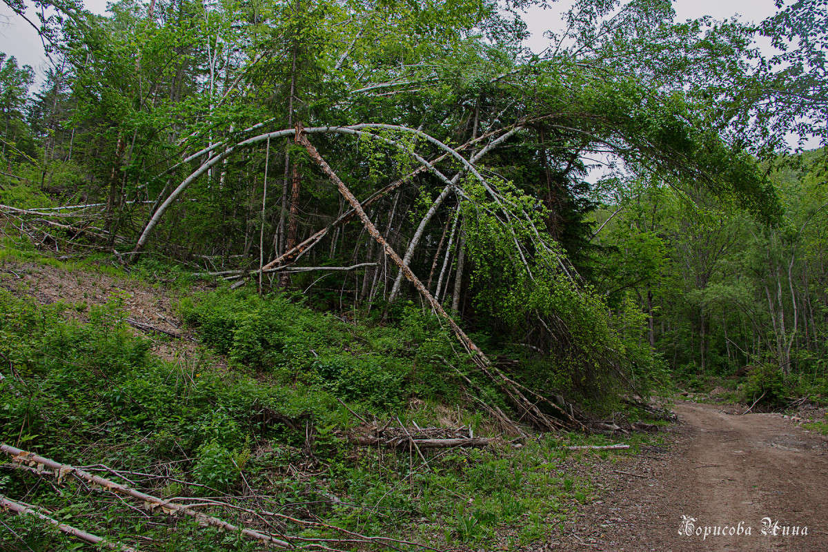 ������ ����� ��������... ����� ���� �������� �� PhotoGeek.ru #������ ��� �������