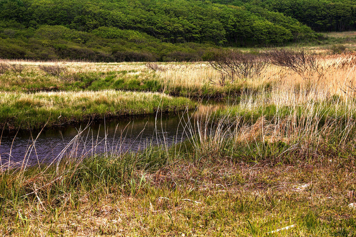 ... ����� ���� �������� �� PhotoGeek.ru #������ ��� �������