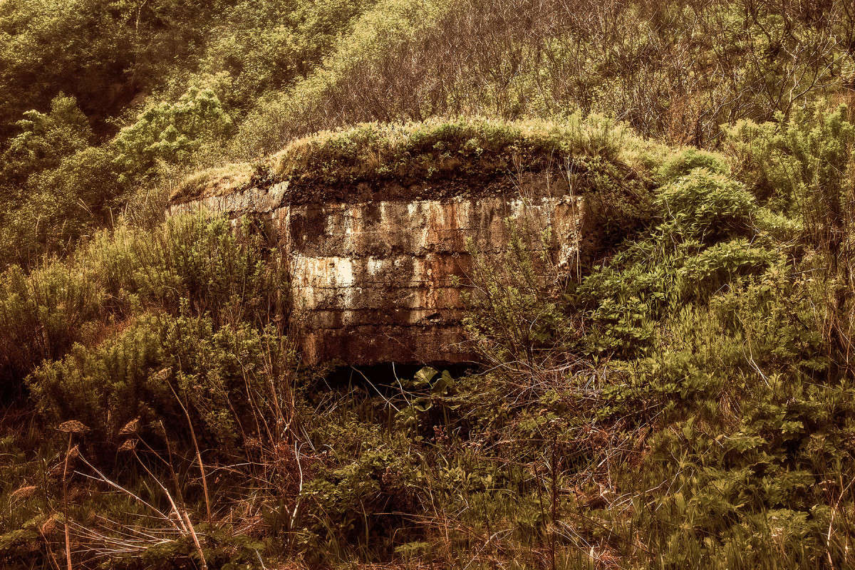 ... ����� ���� �������� �� PhotoGeek.ru #������ ��� �������