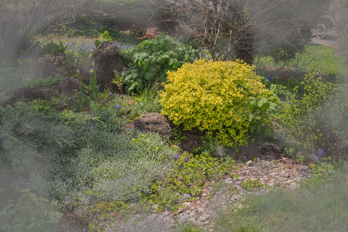 ��������� � ����� ����� ���� �������� �� PhotoGeek.ru #������ ��� �������