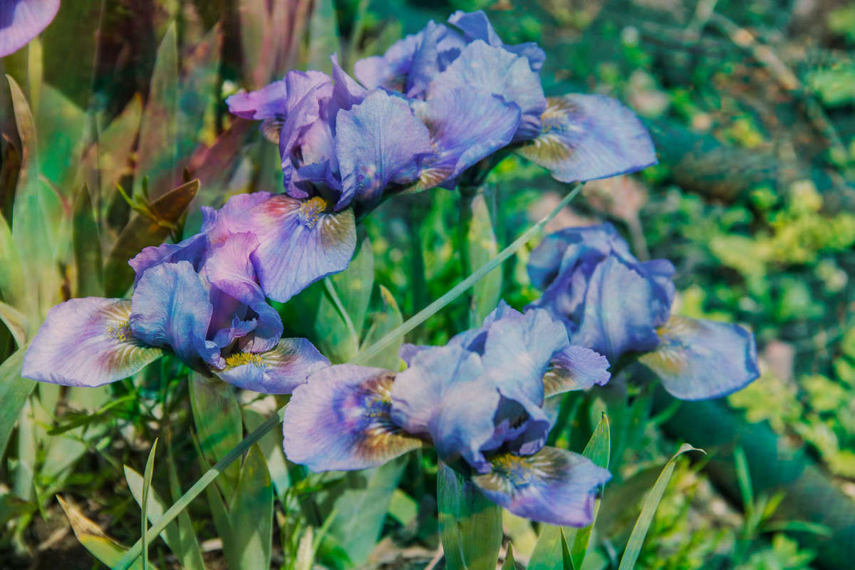 �������� ������ ����� ���� �������� �� PhotoGeek.ru #������ ��� ������� #����� �������������� #���������