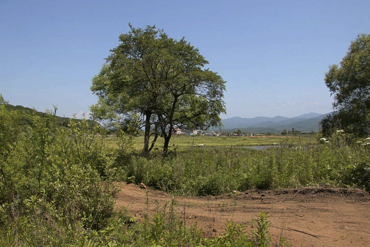 ������ ����. ��������. ����� ���� �������� �� PhotoGeek.ru #������ ��� �������