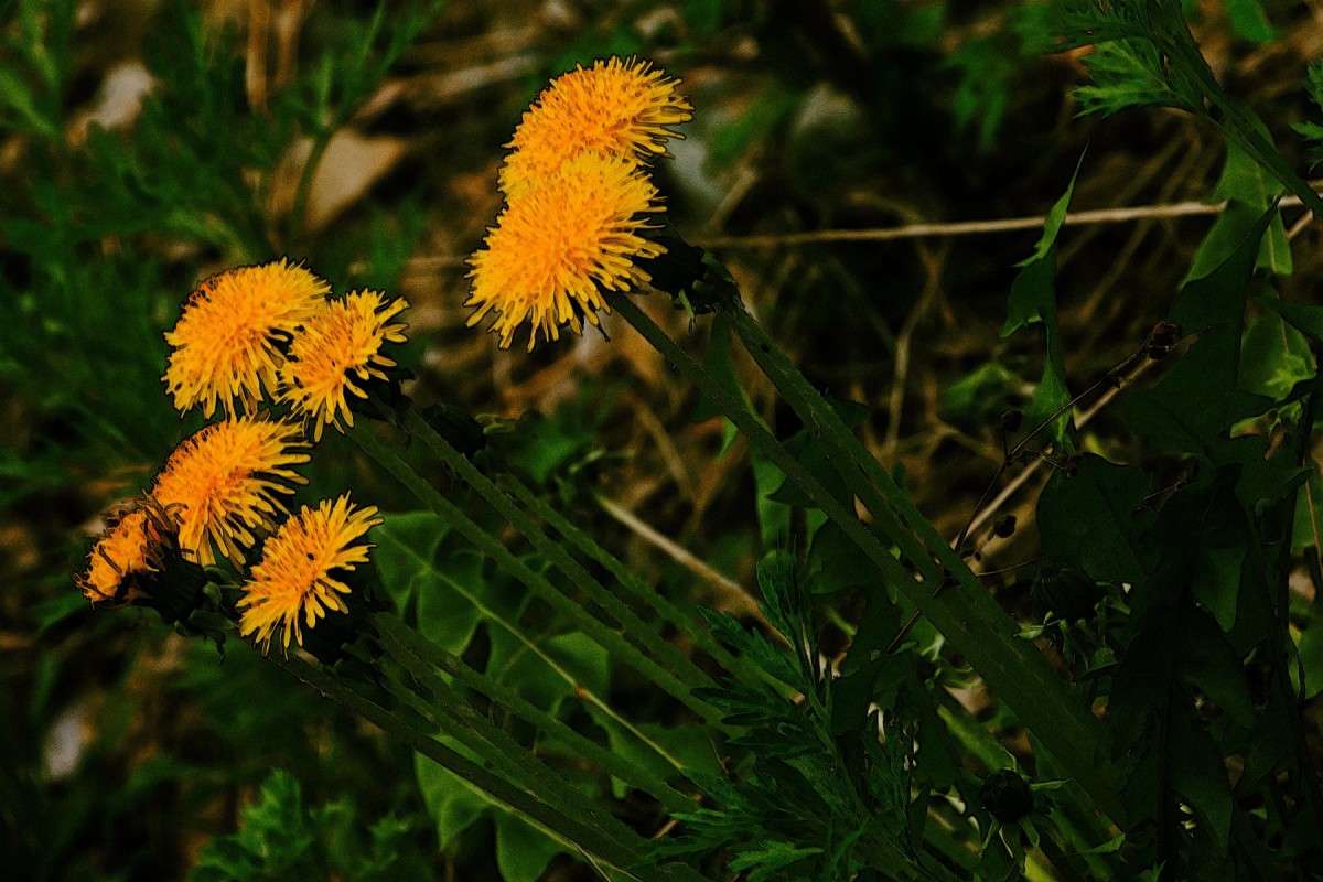 ������� �������. ����� ���� �������� �� PhotoGeek.ru #������ ��� ������� #����� ��������������