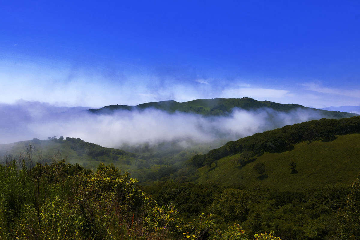 ���������� �������� ����� ���� �������� �� PhotoGeek.ru #������ ��� ������� #���������