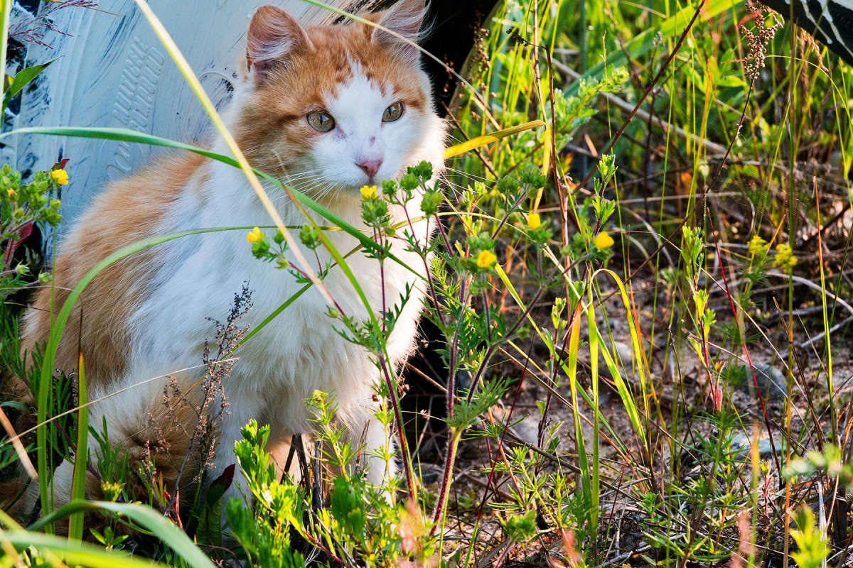 �� ��������� ��������. ����� ���� �������� �� PhotoGeek.ru #�������� ���