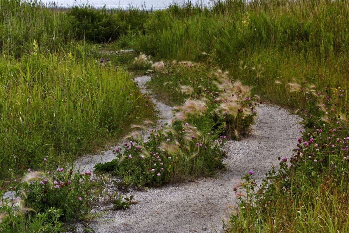 ����������� �����-�������... ����� ���� �������� �� PhotoGeek.ru #������ ��� �������