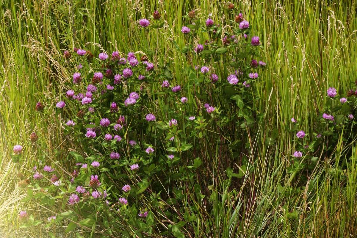 ������ ����� ���� �������� �� PhotoGeek.ru #������ ��� ������� #����� �������������� #���������