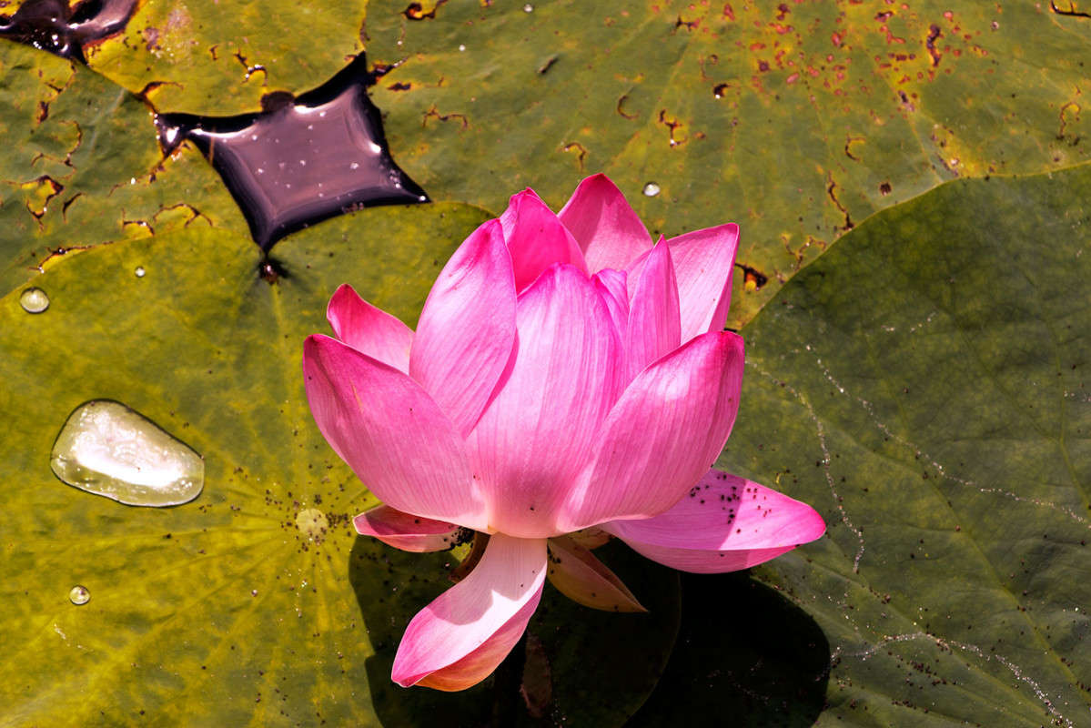 ����� � �������� ��������� �. ������ (�����). ����� ���� �������� �� PhotoGeek.ru #������ ��� ������� #����� ��������������