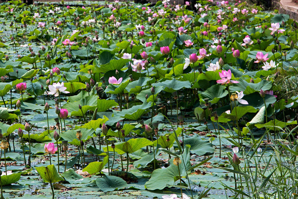 ������ ������... ����� ���� �������� �� PhotoGeek.ru #������ ��� ������� #����� �������������� #����� ��������